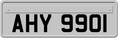 AHY9901