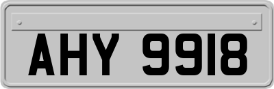 AHY9918