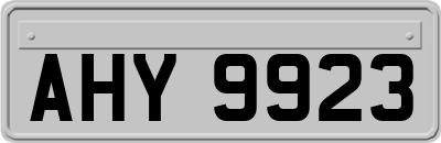 AHY9923