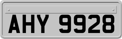 AHY9928