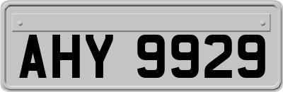 AHY9929
