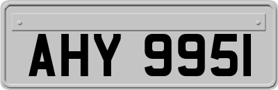 AHY9951