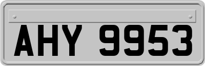 AHY9953