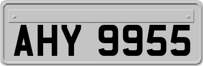 AHY9955