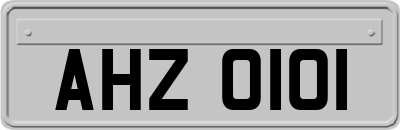AHZ0101