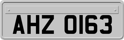 AHZ0163