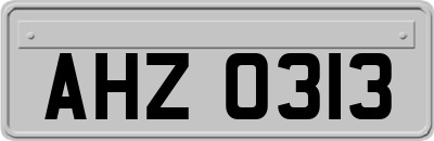AHZ0313
