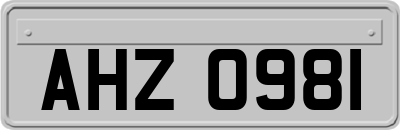 AHZ0981