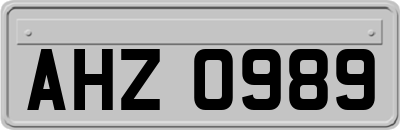 AHZ0989