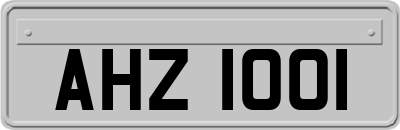 AHZ1001