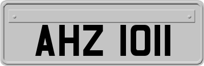 AHZ1011