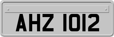 AHZ1012