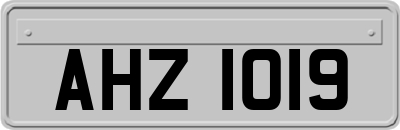 AHZ1019