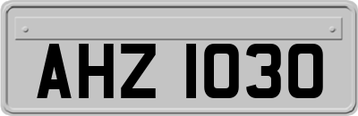 AHZ1030