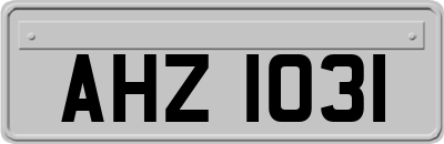 AHZ1031
