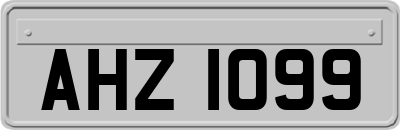 AHZ1099