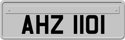 AHZ1101