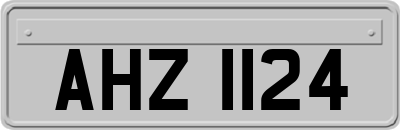 AHZ1124