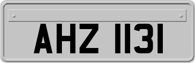AHZ1131