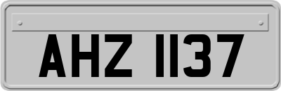 AHZ1137