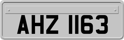 AHZ1163