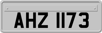 AHZ1173