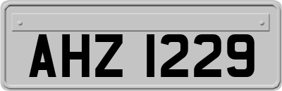 AHZ1229
