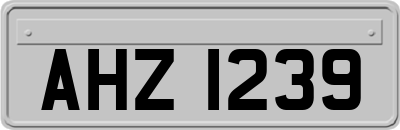 AHZ1239