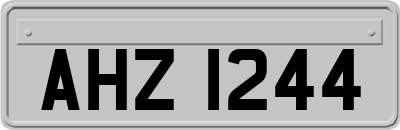 AHZ1244