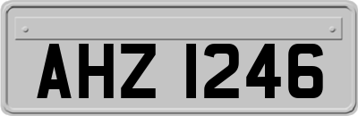 AHZ1246