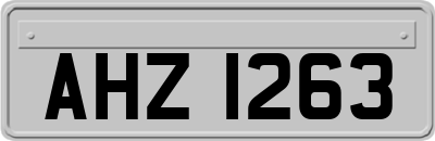 AHZ1263