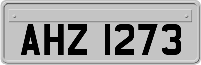 AHZ1273