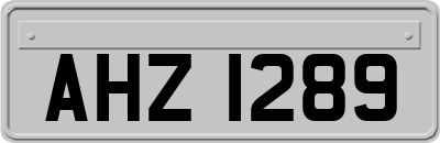 AHZ1289