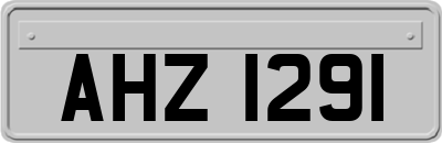 AHZ1291