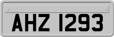 AHZ1293