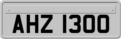 AHZ1300