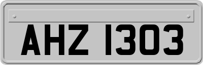 AHZ1303