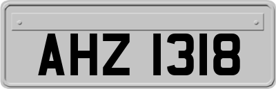 AHZ1318