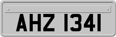 AHZ1341