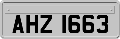 AHZ1663