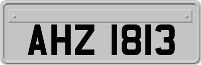 AHZ1813