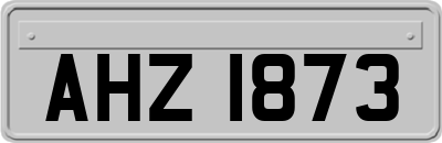 AHZ1873
