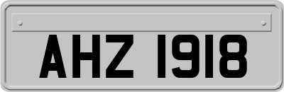 AHZ1918