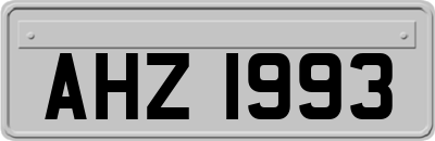 AHZ1993