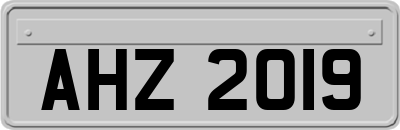 AHZ2019