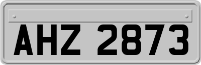AHZ2873
