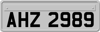 AHZ2989