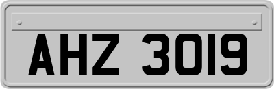 AHZ3019