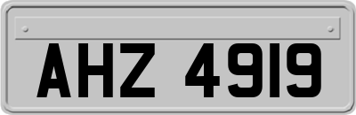 AHZ4919