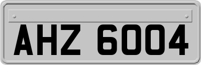 AHZ6004